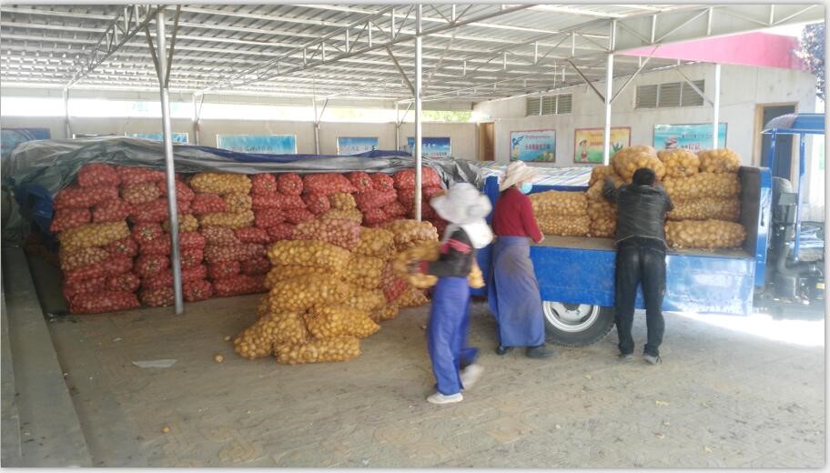 中国·永利集团(304am-VIP认证)官网-OfficialPlatform