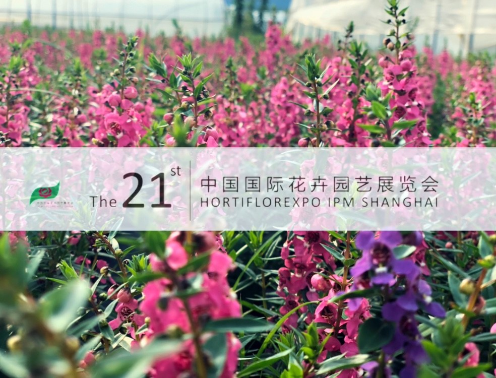 中国·永利集团(304am-VIP认证)官网-OfficialPlatform