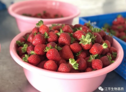 5f0c1a6b0accb.png 图片.png