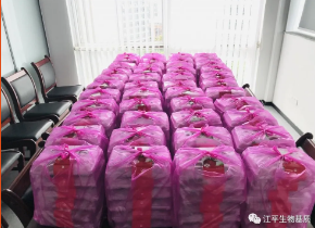 5f0c1a80043a9.png 图片.png