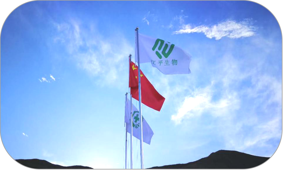 中国·永利集团(304am-VIP认证)官网-OfficialPlatform