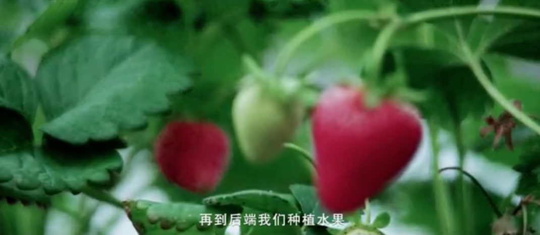 5fad04494e0fb.png 图片.png