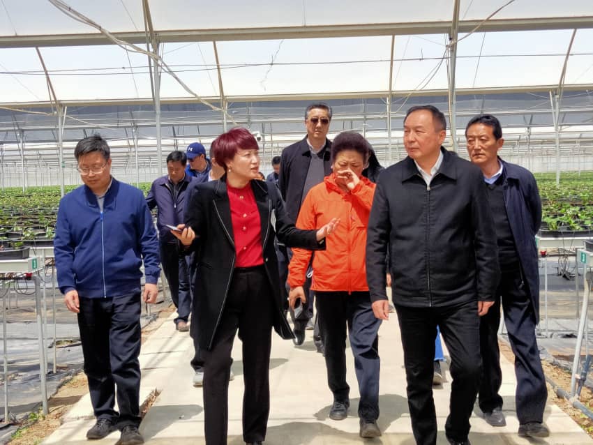 中国·永利集团(304am-VIP认证)官网-OfficialPlatform