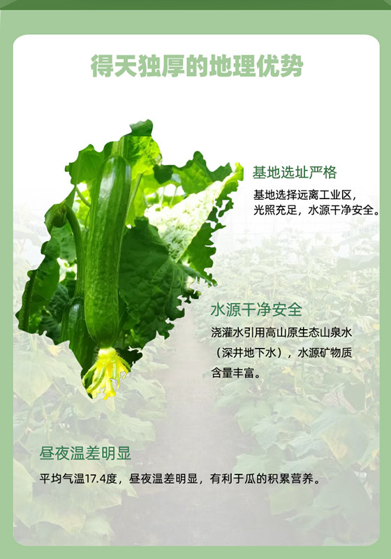 中国·永利集团(304am-VIP认证)官网-OfficialPlatform