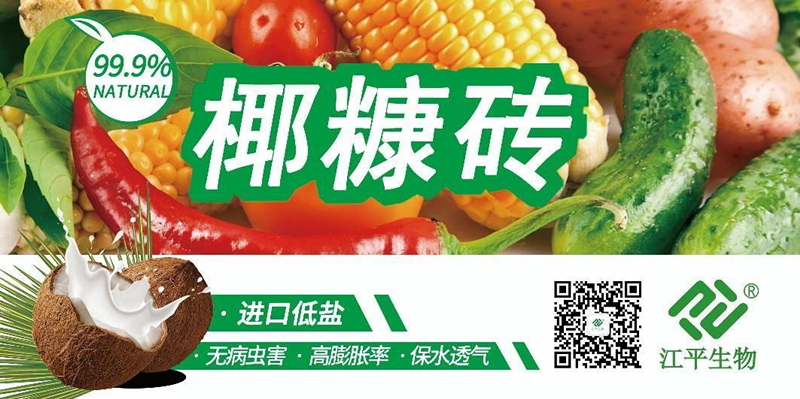 中国·永利集团(304am-VIP认证)官网-OfficialPlatform