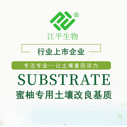 中国·永利集团(304am-VIP认证)官网-OfficialPlatform