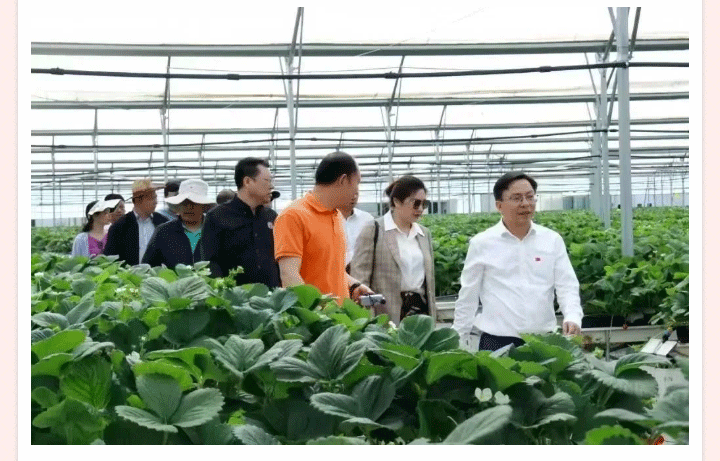 中国·永利集团(304am-VIP认证)官网-OfficialPlatform
