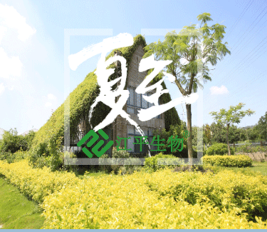 中国·永利集团(304am-VIP认证)官网-OfficialPlatform